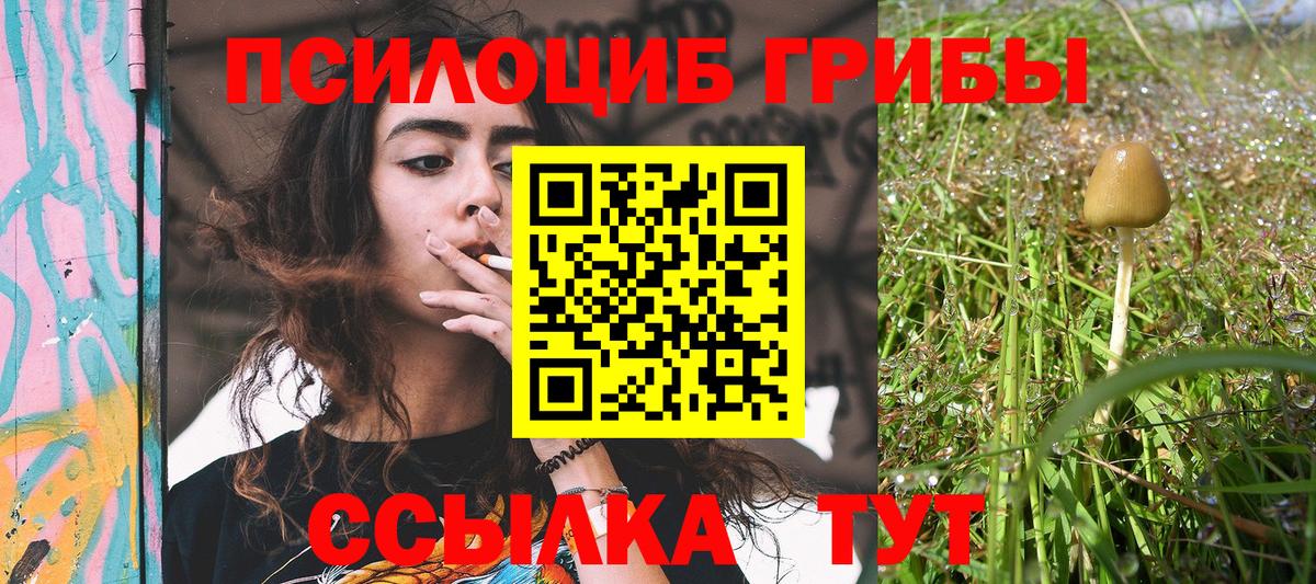 Конопля Берёзовский