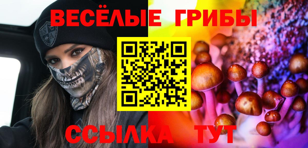 Галлюциногенные грибы MAGIC MUSHROOMS  Галлюциногенные грибы Psilocybine cubensis  Берёзовский  Вход с VPN 